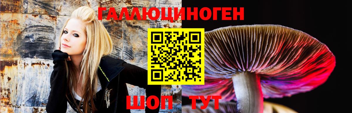 Псилоцибиновые грибы ЛСД Бузулук
